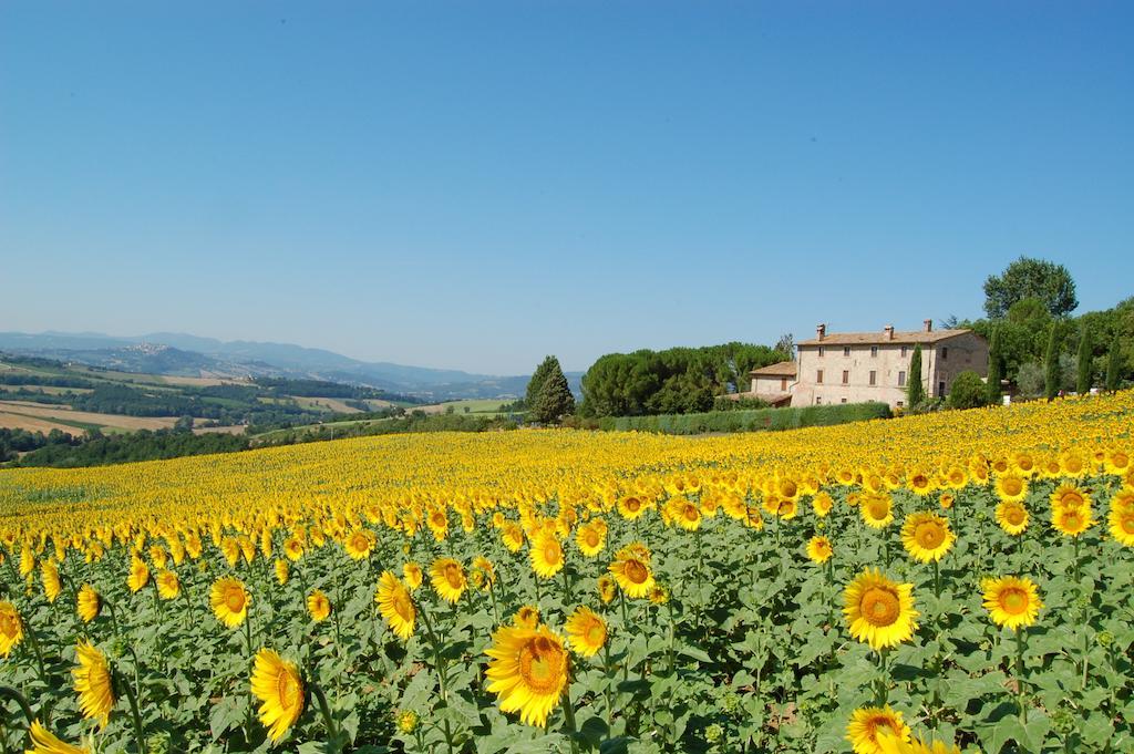 Agriturismo Casale Dei Frontini San Terenziano Bagian luar foto