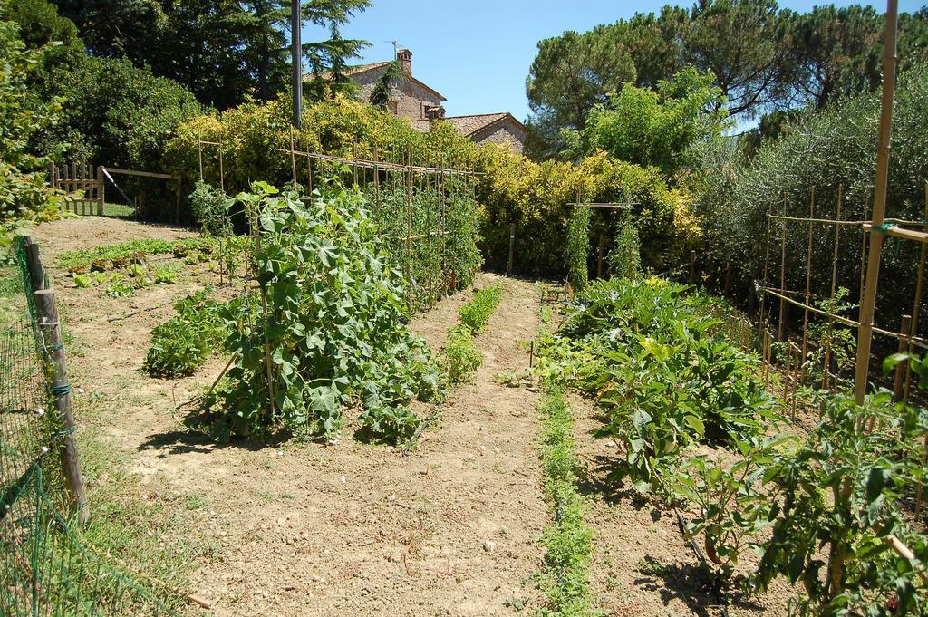 Agriturismo Casale Dei Frontini San Terenziano Bagian luar foto