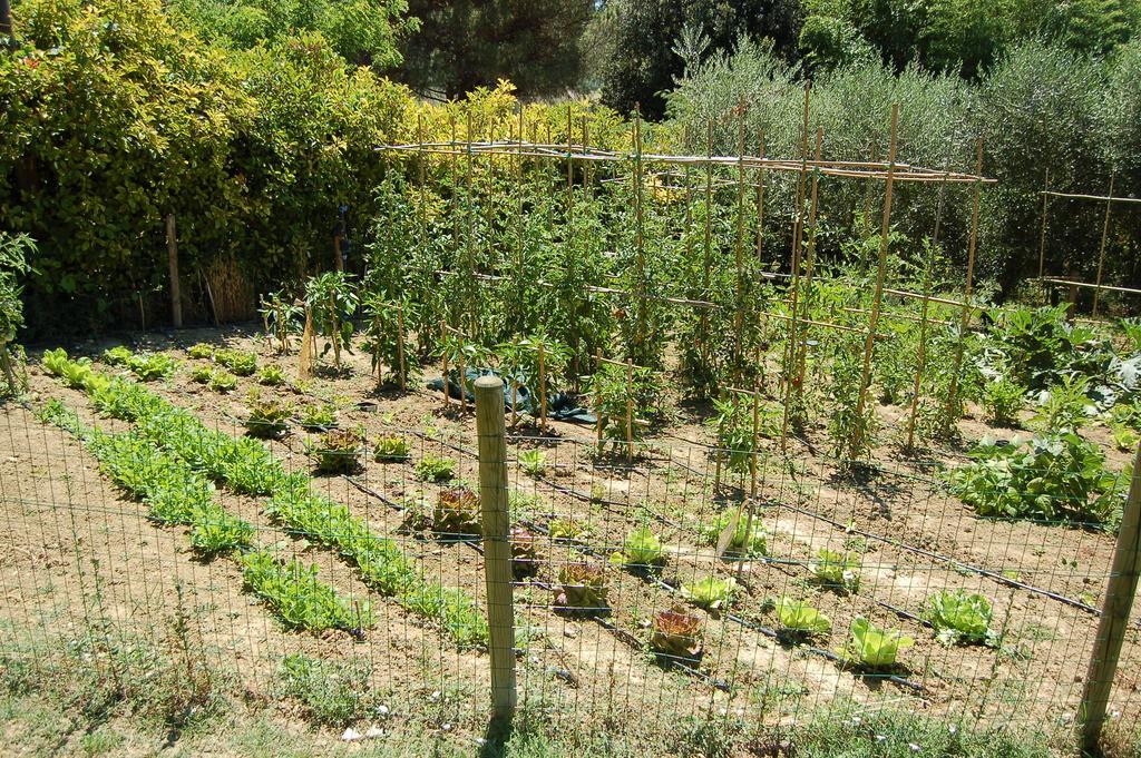 Agriturismo Casale Dei Frontini San Terenziano Bagian luar foto