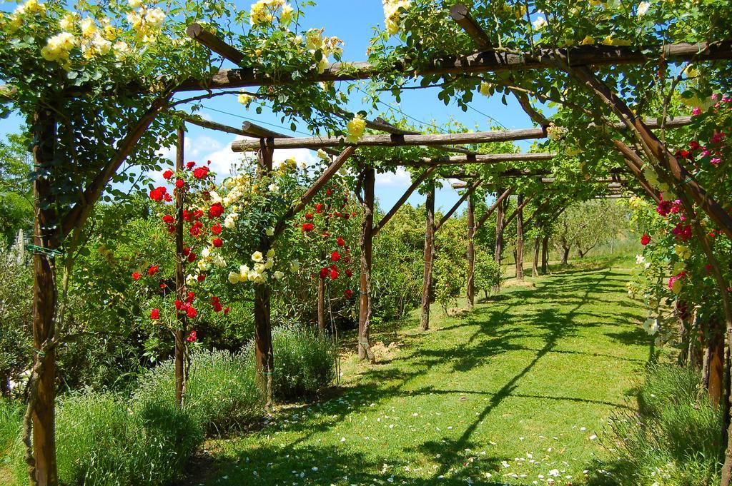 Agriturismo Casale Dei Frontini San Terenziano Bagian luar foto