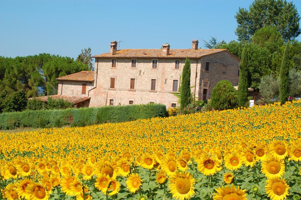 Agriturismo Casale Dei Frontini San Terenziano Bagian luar foto