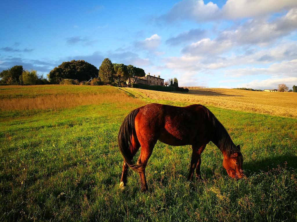 Agriturismo Casale Dei Frontini San Terenziano Bagian luar foto