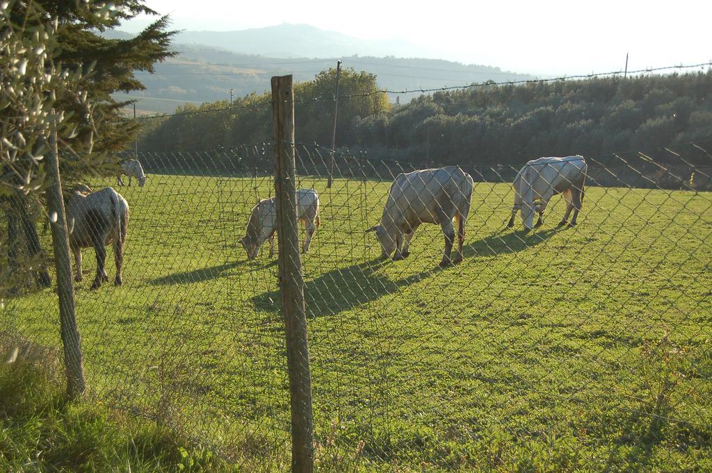 Agriturismo Casale Dei Frontini San Terenziano Bagian luar foto