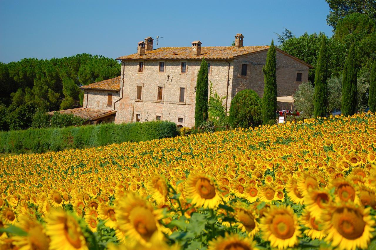 Agriturismo Casale Dei Frontini San Terenziano Bagian luar foto